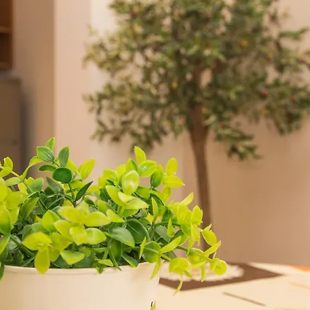 Elite Apartmanhotel Napospart