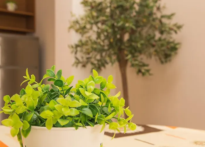 Elite Апарт-отель Солнечный берег